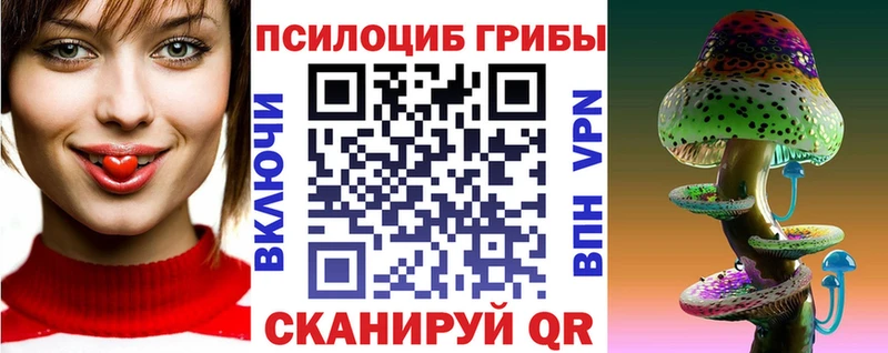 где купить наркоту  KRAKEN tor  Псилоцибиновые грибы прущие грибы  Серафимович 